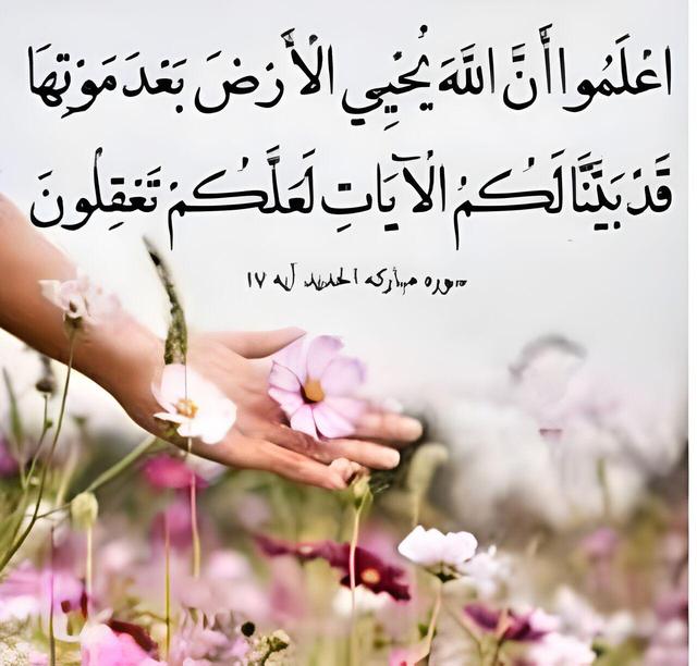 از ندبه کرمان تا نماز جمکران/ ملت شهادت در طلب باران دست به دعا شد