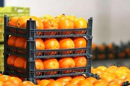 ماجرای پرتقال سمی در ایران چه قدر درست است؟