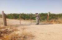 شناسایی هزار و ۶۶۲ مورد تغییر کاربری غیرمجاز اراضی کشاورزی در قزوین