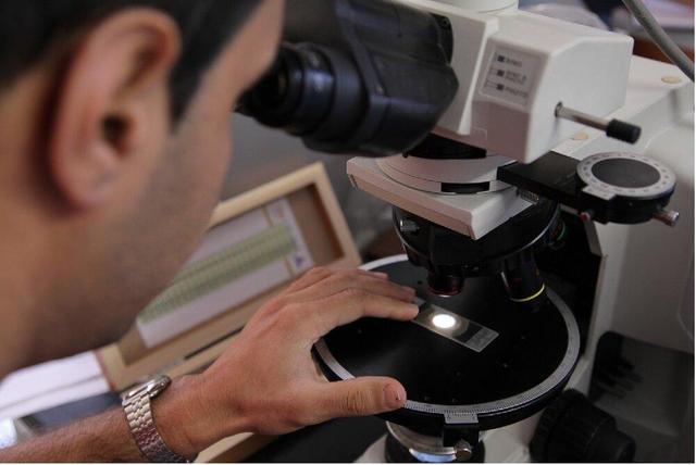 شیوهنامه طرح «دانا» برای حمایت از دکترای حرفهای ابلاغ شد