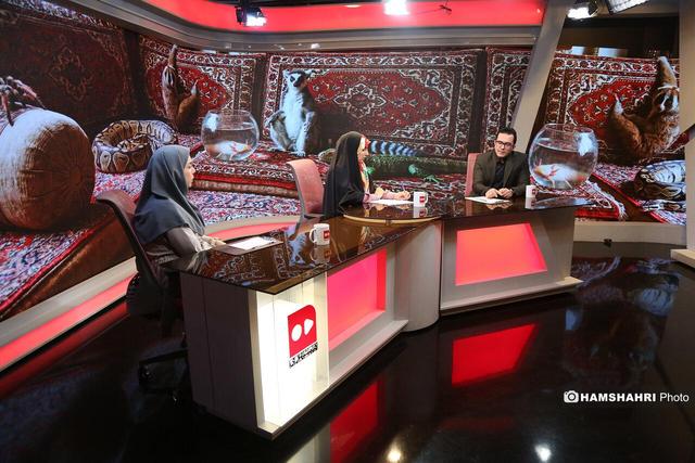 گفت و گو درباره نگهداری حیوانات عجیب در خانه