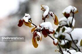 هشدار هواشناسی به ۲۵ استان | خسارت به محصولات کشاورزی با تشدید بارشها