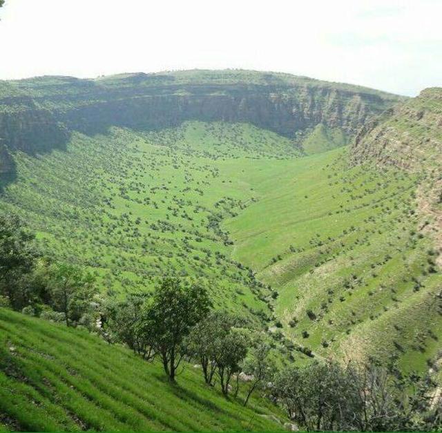 آغاز احیای جنگلهای آسیب دیده از آتش در کبیرکوه دره شهر