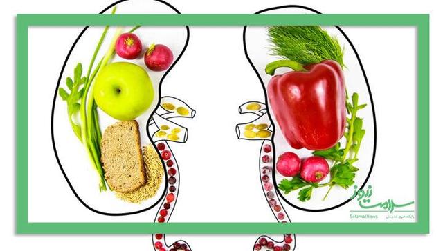 ۶ میوه طلایی برای سلامت کلیهها