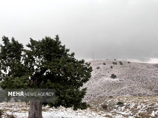 بارش برف چهره شهرهای آذربایجان غربی را سفیدپوش کرد