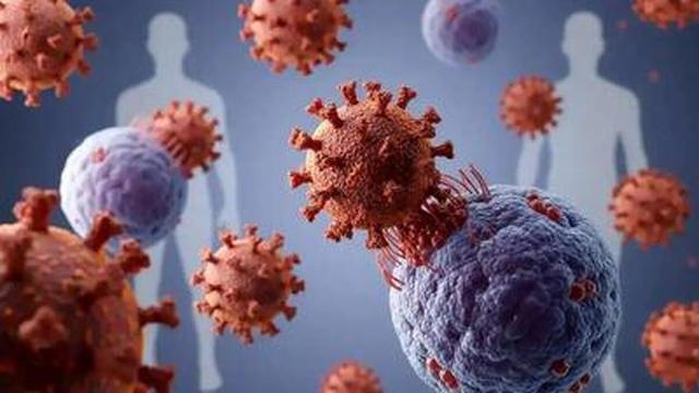 یک سناریوی بدبینانه برای آنفولانزا