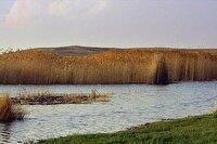 تکمیل نقشه راه احیای تالاب ارژن و آغاز عملیات میدانی برای نجات تالاب فارس