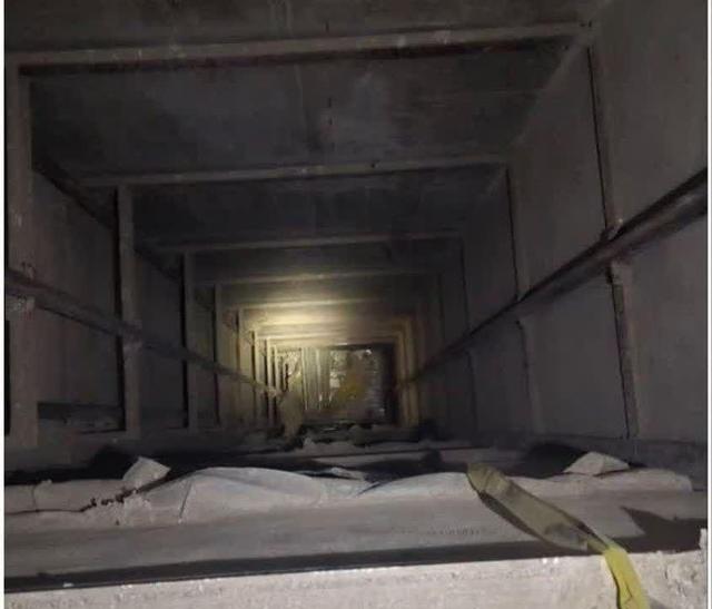 چاله آسانسورها؛ زیستگاه جدید و پنهان پشه آئدس در کنگان