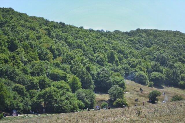 ضرورت حرکت به سمت جنگلداری اجتماعی برای نجات جنگلهای زاگرس