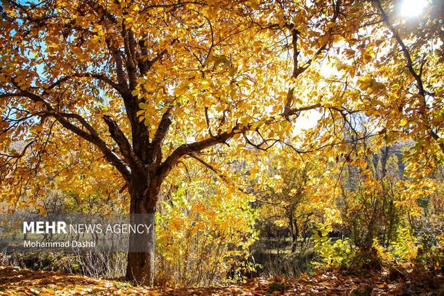 طبیعت پاییری مسیر نمین - عنبران