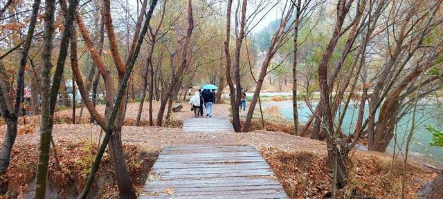 بارش ها تا هفته آینده ادامه دارد | هوا از دوشنبه سرد می شود