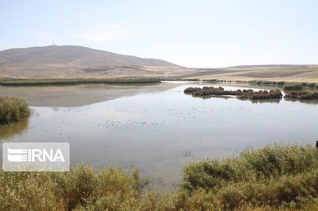 نزولات آسمانی حیات دوباره به تالاب کانیبرازان مهاباد بخشیدند