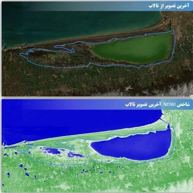 ۲۰ هزار هکتار از تالاب میانکاله بهدلیل کاهش تراز آب دریای خزر خشک شد