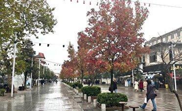 روزهای پایانی پاییز گیلان زمستانی میشود