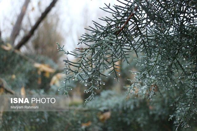 بارشهای اخیر کمآبی کشور را جبران نمیکند