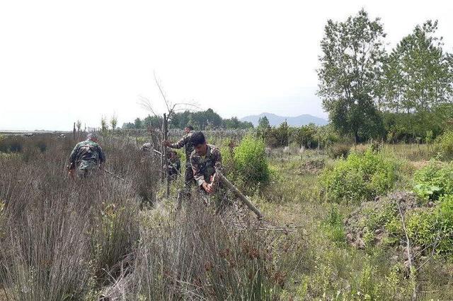 رفع تصرف ۱۰۰ میلیاردی اراضی ملی در لنگرود