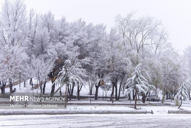 بارش اولین برف پاییزی در منطقه پول کجور