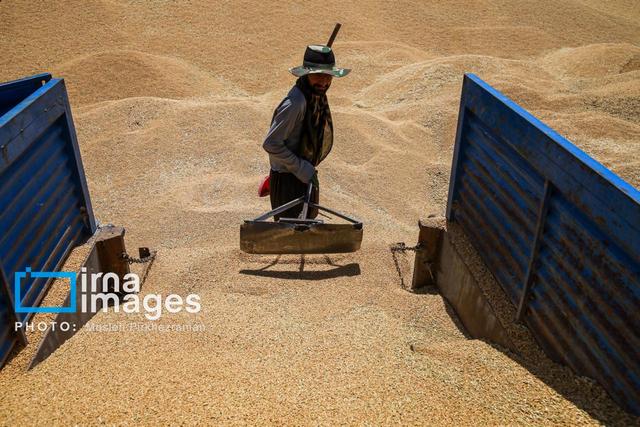 آغاز فصل جدید؛ خانه کارگر جنوب کرمان و پایان یک «بیپشتوانگی» تاریخی