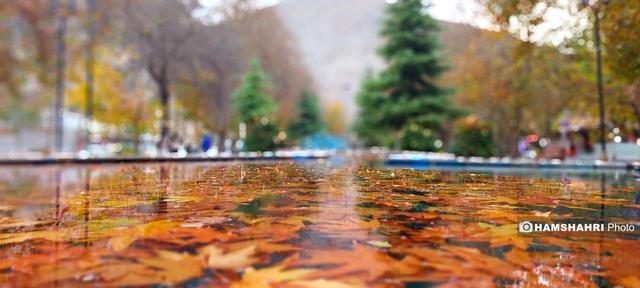 آغاز رگبارهای سیلآسا و برف سنگین تا جمعه | فهرست شهرهای درگیر بارش شدید تا ۲۸ آذر | شدت فعالیت سامانه در ۴ استان