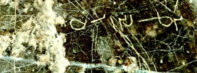 کشف کتیبهای با محتوای «یکی از جشنهای ساسانیان» در مرودشت