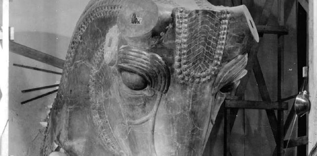 گاو سنگی هخامنشی چگونه از تختجمشید سر از شیکاگو درآورد؟(عکس)