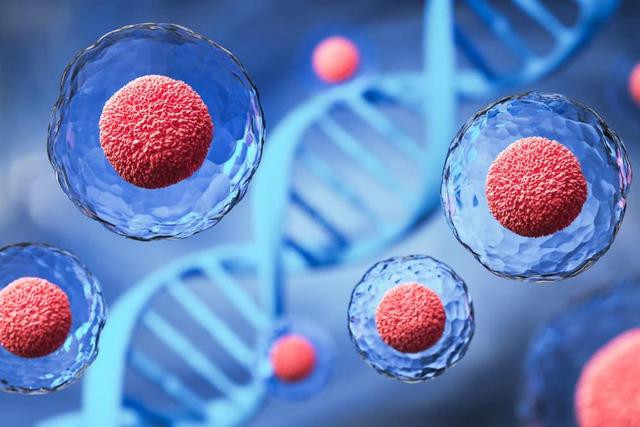 ژن RNA غیر کدکننده بهعنوان کنترلکننده رشد سلولهای بزرگ شناسایی شد