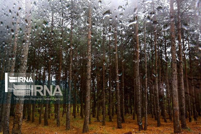 بارش ۱۳.۴ میلیمتری باران در چادرملو اردکان