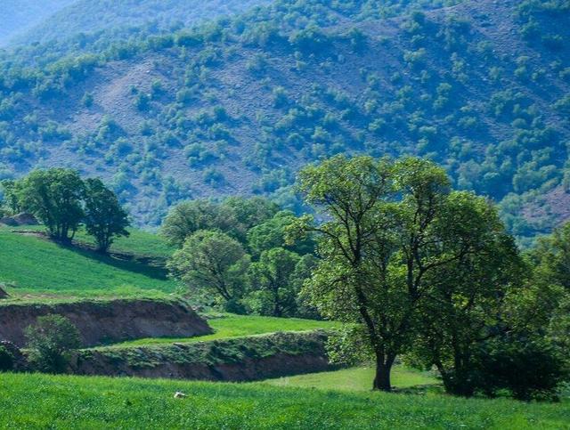 جنبش ملی سرمایهگذاری در سپیدان/ نگین سبز فارس آماده پرواز اقتصادی و گردشگری میشود