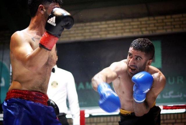 جوان کهگیلویه و بویراحمدی قهرمان بوکس کشور شد