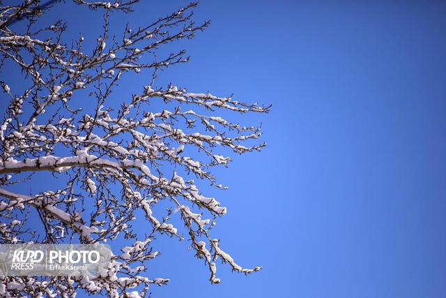 کردستان هفته ای بدون بارش را پیش رو دارد