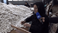 آغاز فصل جدید نوغانداری در گیلان