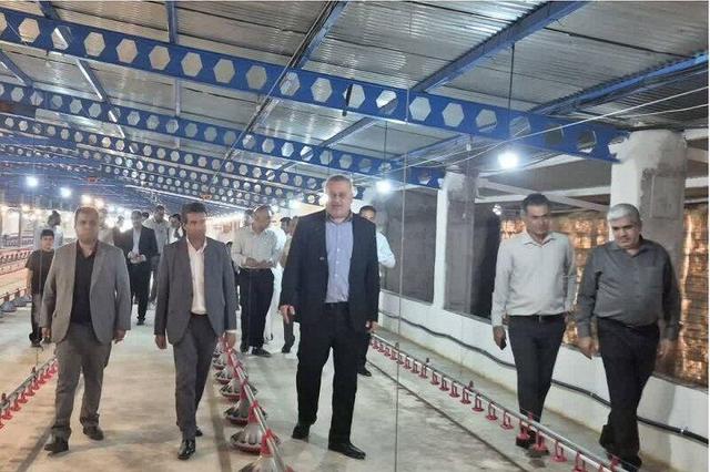 تقویت قطب تولید گوشت مرغ غرب هرمزگان با افتتاح طرح توسعهای در بستک
