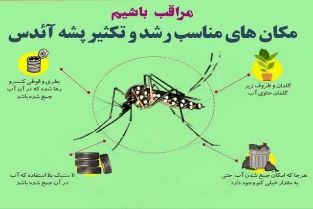 رئیس مرکز بهداشت نیکشهر: پیشگیری مؤثرترین راه مقابله با بیماریهای منتقله از پشه آئدس است
