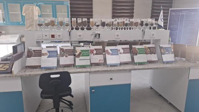 حمایت از کارآفرینان با تدوین طرحهای توجیهی جهاددانشگاهی خراسان جنوبی