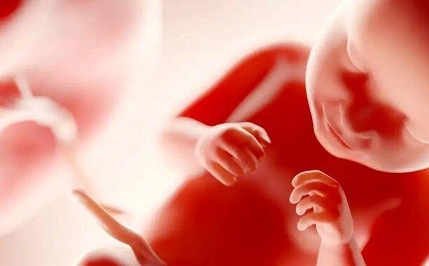جنین در چند ماهگی آگاهی پیدا میکند؟